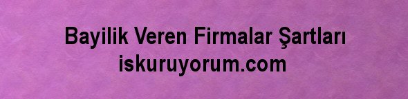 Bayilik veren firmalar şartları Bayilik veren firmalar şartları