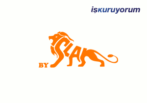 ByAslan Rent A Car Bayilik