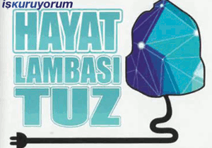Hayat Lambası Tuz Bayilik