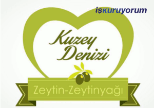 Kuzey Denizi Zeytin - Zeytin Yağı Bayilik