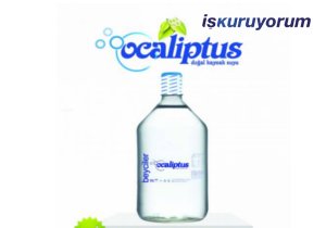 Ocaliptus Doğal Kaynak Suyu Bayilik