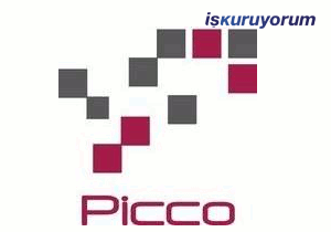Picco Ink Ditital Baskı Boyası Bayilik