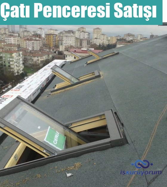 çat pencresi bayilik