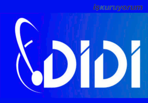 Didi Rent A Car Bayilik