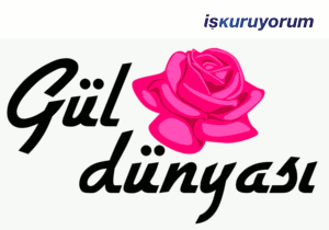 Gül Dünyası Bayilik